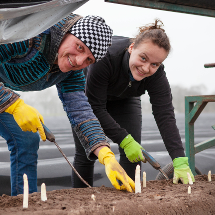 Begeleidende afbeelding